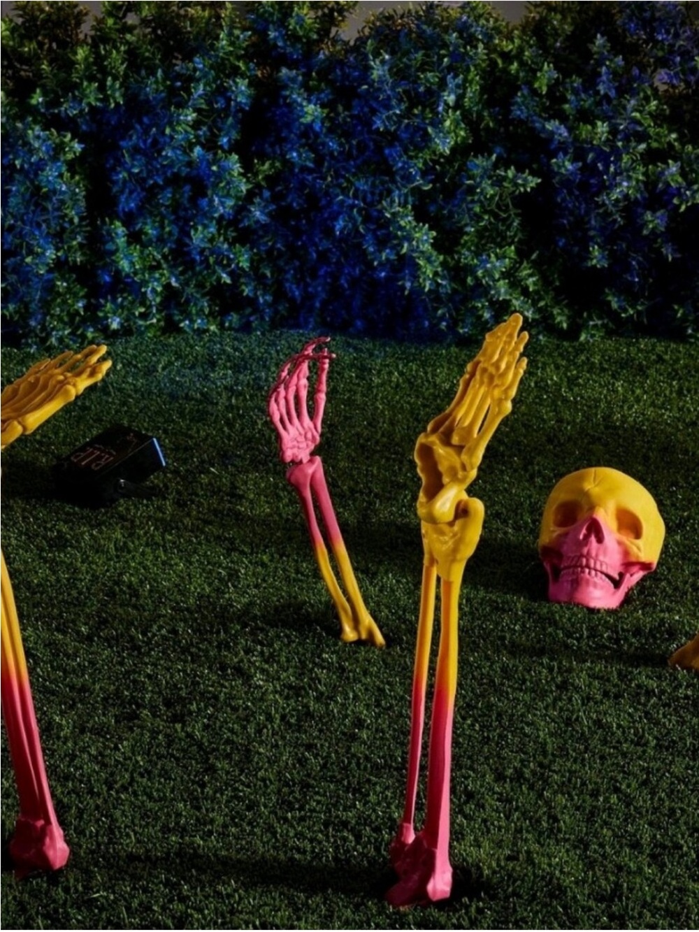 HYDE & EEK Ombré Skeleton
